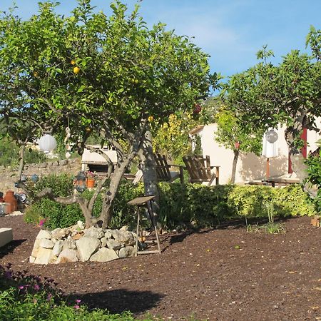 Corregos de Monte Seco B&B Candelaria المظهر الخارجي الصورة