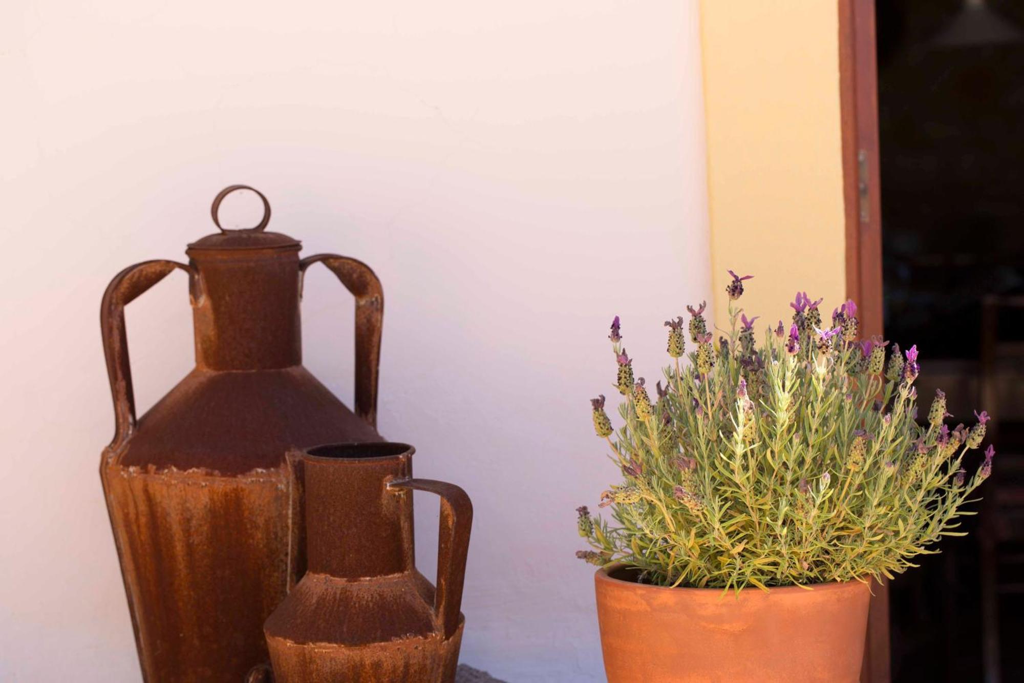 Corregos de Monte Seco B&B Candelaria المظهر الخارجي الصورة