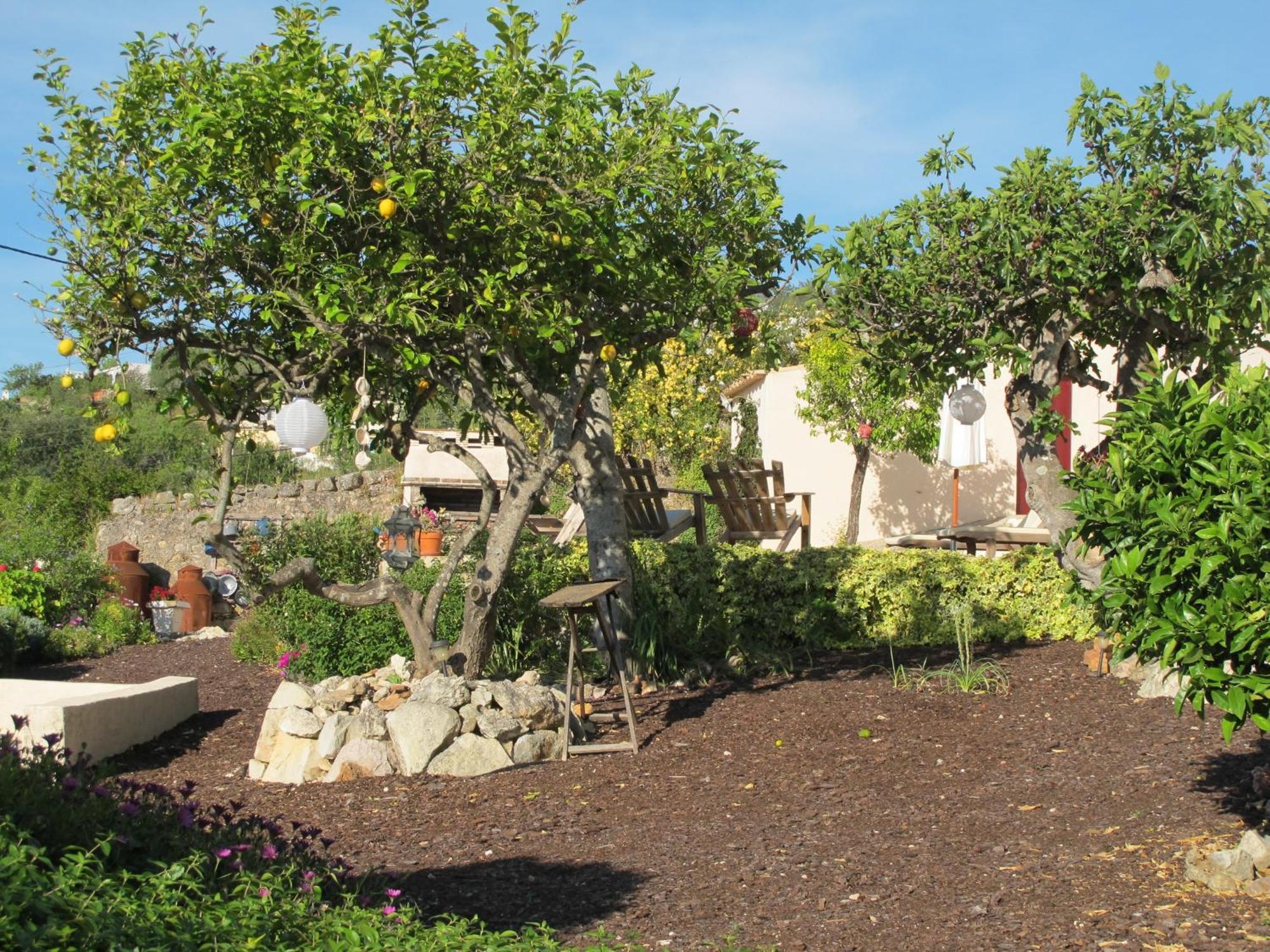 Corregos de Monte Seco B&B Candelaria المظهر الخارجي الصورة