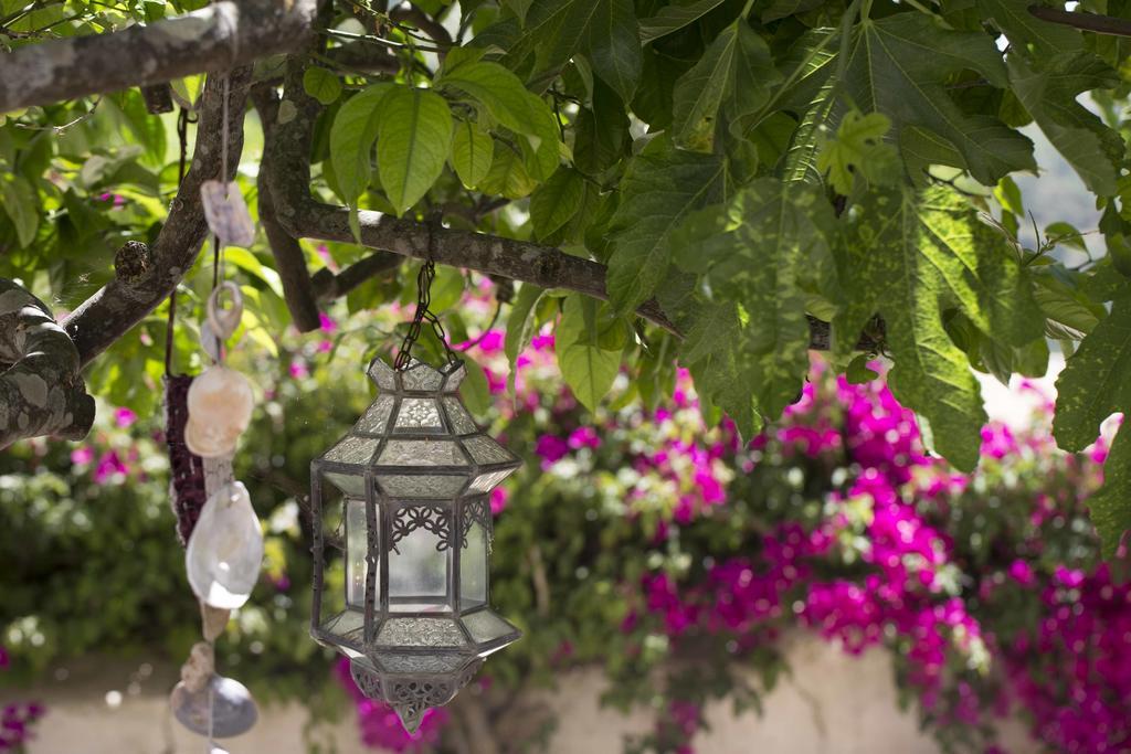 Corregos de Monte Seco B&B Candelaria المظهر الخارجي الصورة
