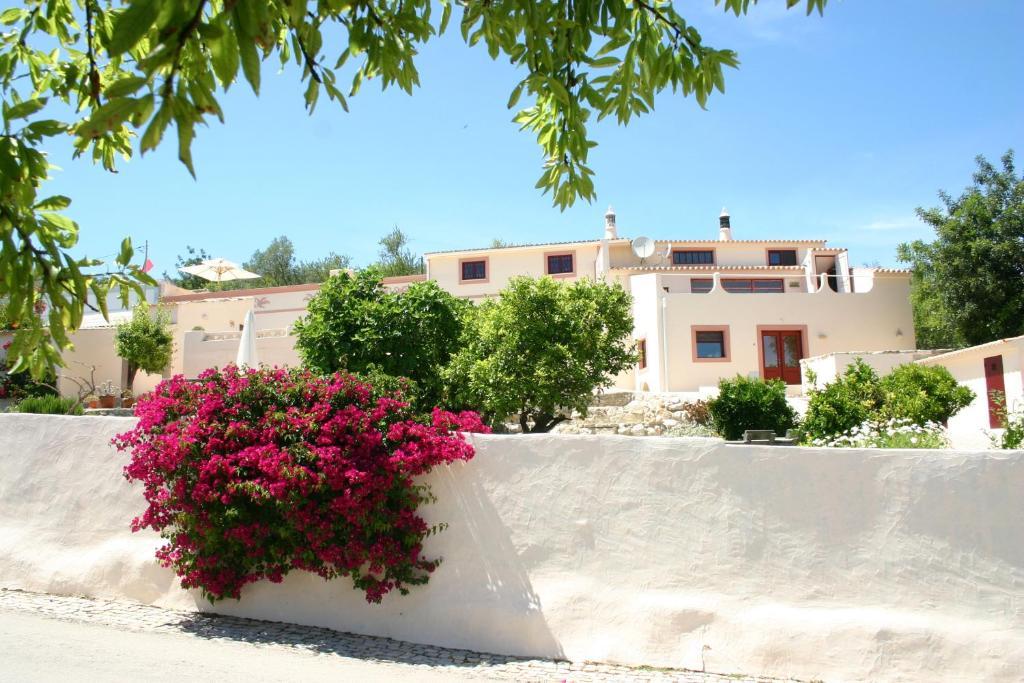 Corregos de Monte Seco B&B Candelaria المظهر الخارجي الصورة